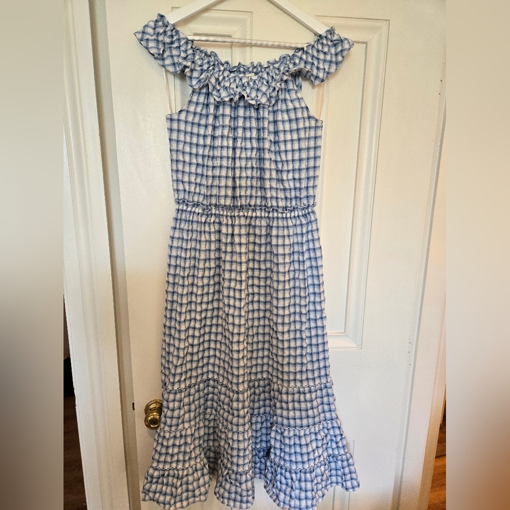 Blue and White Gingham Ruffle Dress